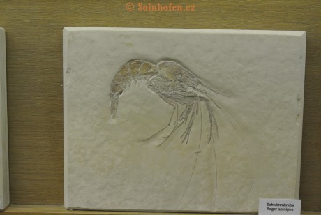Museum-Berger-2013-0110
