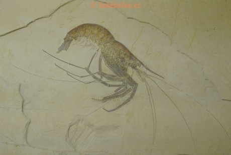 Museum-Berger-2013-0111