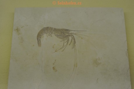 Museum-Berger-2013-0112