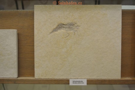 Museum-Berger-2013-0115