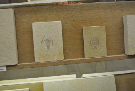 Museum-Berger-2013-0118