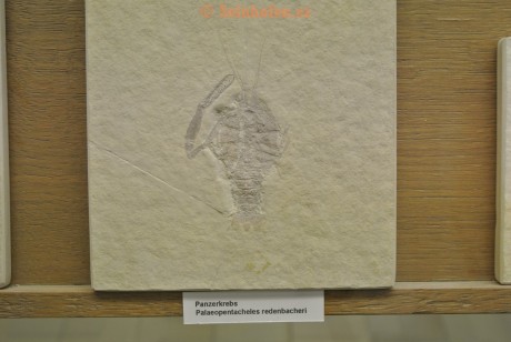 Museum-Berger-2013-0119