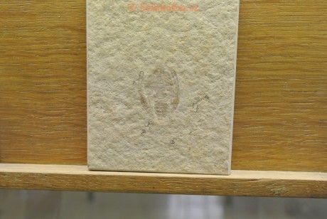 Museum-Berger-2013-0120