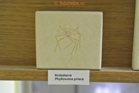 Museum-Berger-2013-0121