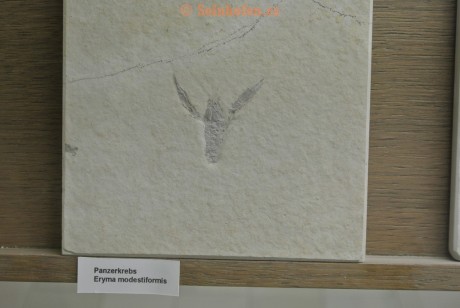 Museum-Berger-2013-0124