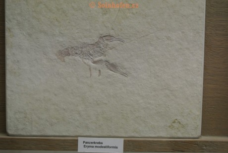Museum-Berger-2013-0125