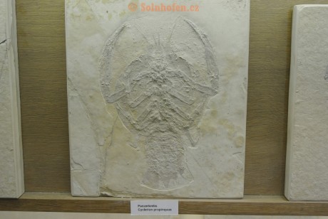 Museum-Berger-2013-0126