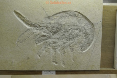 Museum-Berger-2013-0127