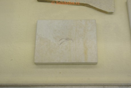 Museum-Berger-2013-0129