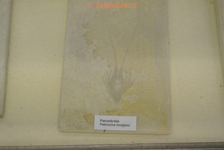 Museum-Berger-2013-0131