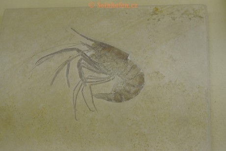 Museum-Berger-2013-0132