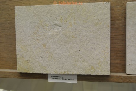 Museum-Berger-2013-0134