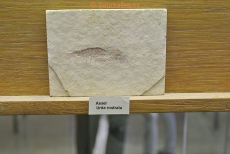 Museum-Berger-2013-0135