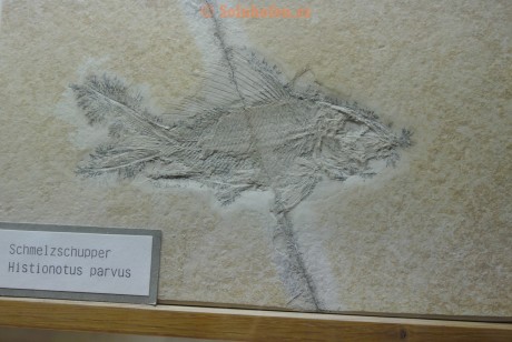 Museum-Berger-2013-0140