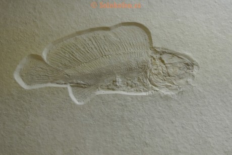 Museum-Berger-2013-0147
