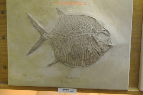 Museum-Berger-2013-0148