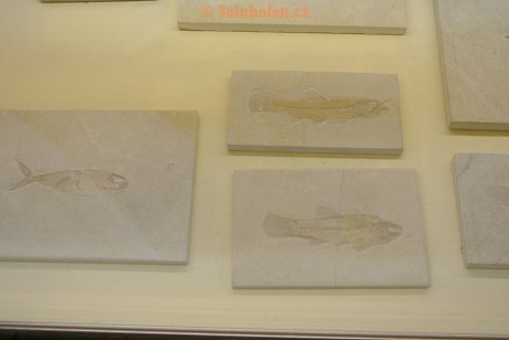 Museum-Berger-2013-0153
