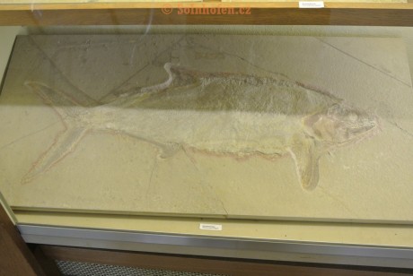 Museum-Berger-2013-0157