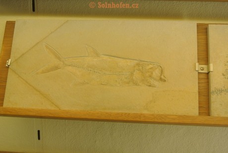 Museum-Berger-2013-0172