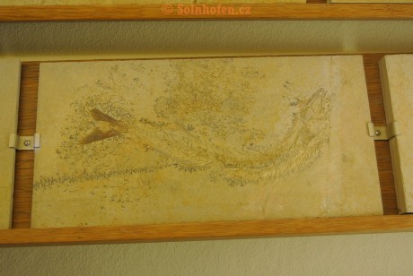 Museum-Berger-2013-0173