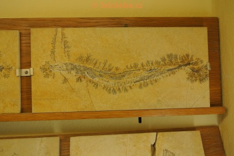 Museum-Berger-2013-0175
