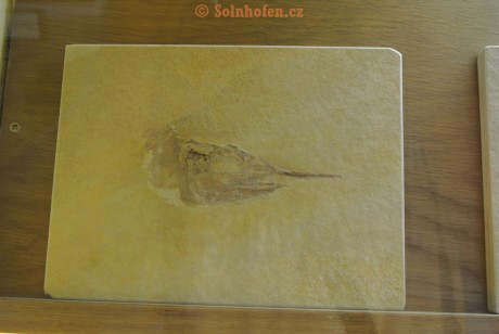 Museum-Berger-2013-0181