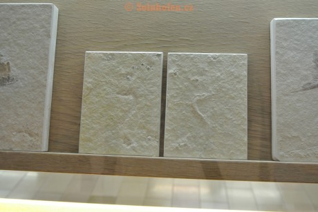 Museum-Berger-2013-0185