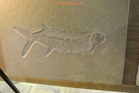 Museum-Berger-2013-0187