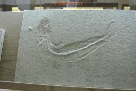 Museum-Berger-2013-0188