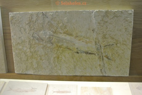 Museum-Berger-2013-0189