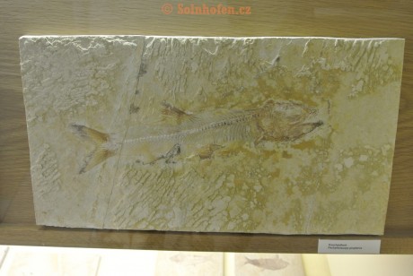 Museum-Berger-2013-0191