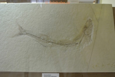 Museum-Berger-2013-0192