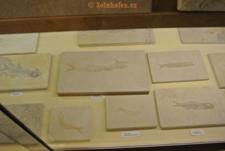 Museum-Berger-2013-0195