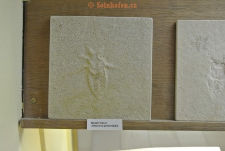 Museum-Berger-2013-0199