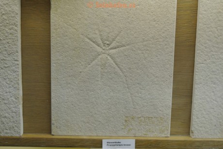 Museum-Berger-2013-0201