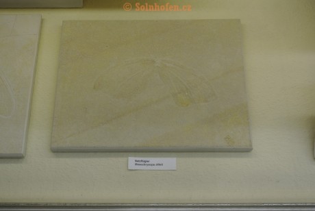 Museum-Berger-2013-0204