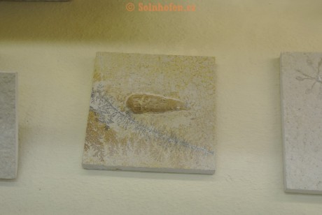 Museum-Berger-2013-0206