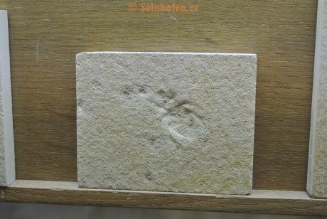 Museum-Berger-2013-0209