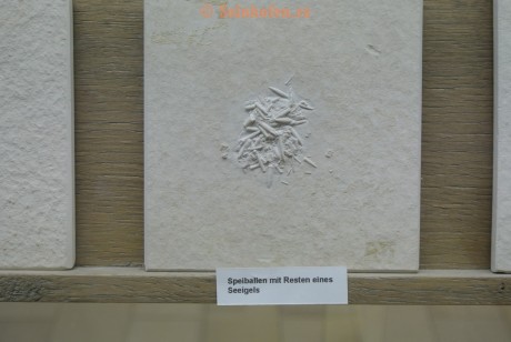 Museum-Berger-2013-0211