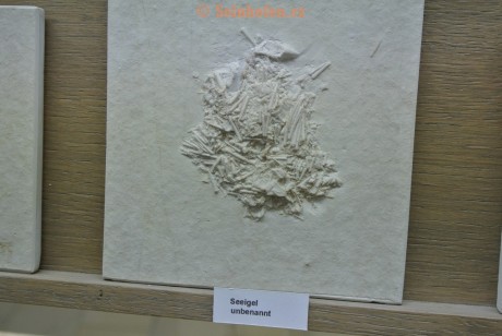Museum-Berger-2013-0212
