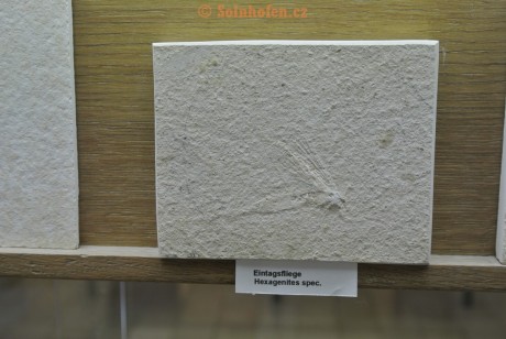 Museum-Berger-2013-0213