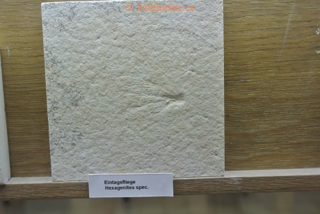 Museum-Berger-2013-0214