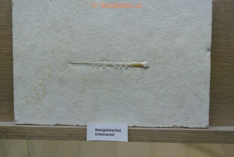 Museum-Berger-2013-0215