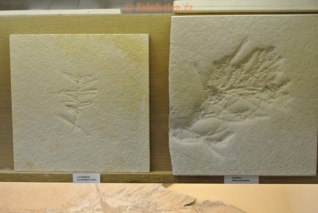 Museum-Berger-2013-0220