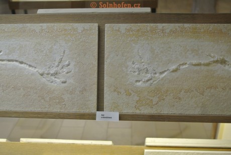 Museum-Berger-2013-0221