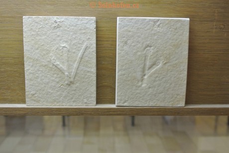Museum-Berger-2013-0222