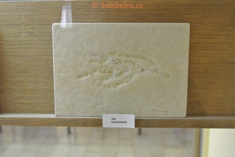 Museum-Berger-2013-0223