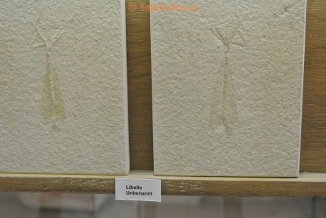 Museum-Berger-2013-0225