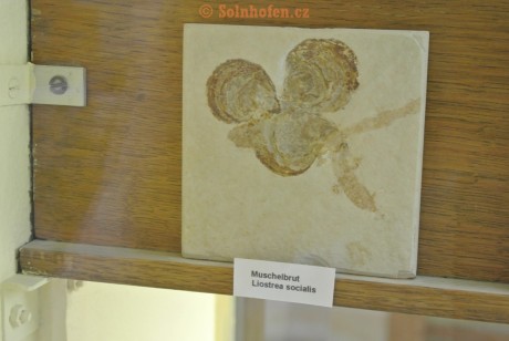Museum-Berger-2013-0228