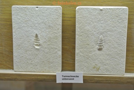 Museum-Berger-2013-0229